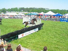 Brookhill Steeplechase