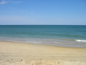 OBX 2008 Main Pic