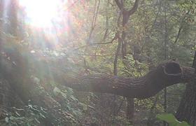 South Mountain