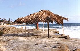Wind n Sea - The Shack