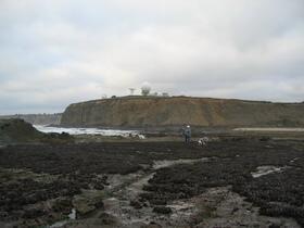 Mavericks Reef