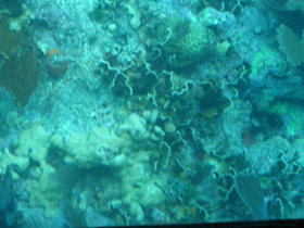 Key Largo