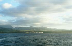 Blue Dolphin Tours