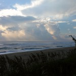 Hurricane Leslie surf - Outer Banks 33