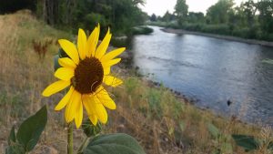 20160727_063807_ft_collins