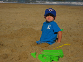 Zander on the beach